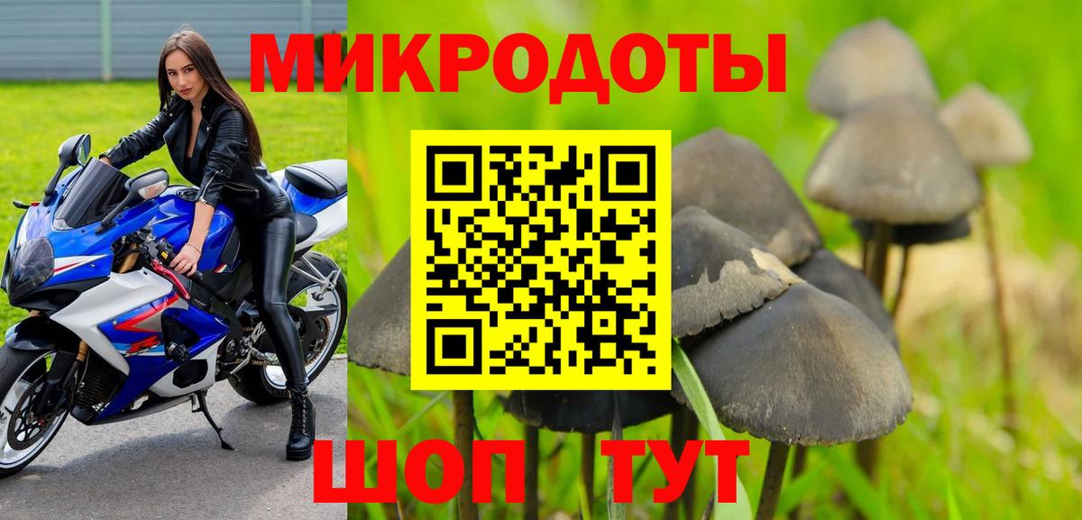 Псилоцибиновые грибы Psilocybe  Вход с VPN  Волхов 